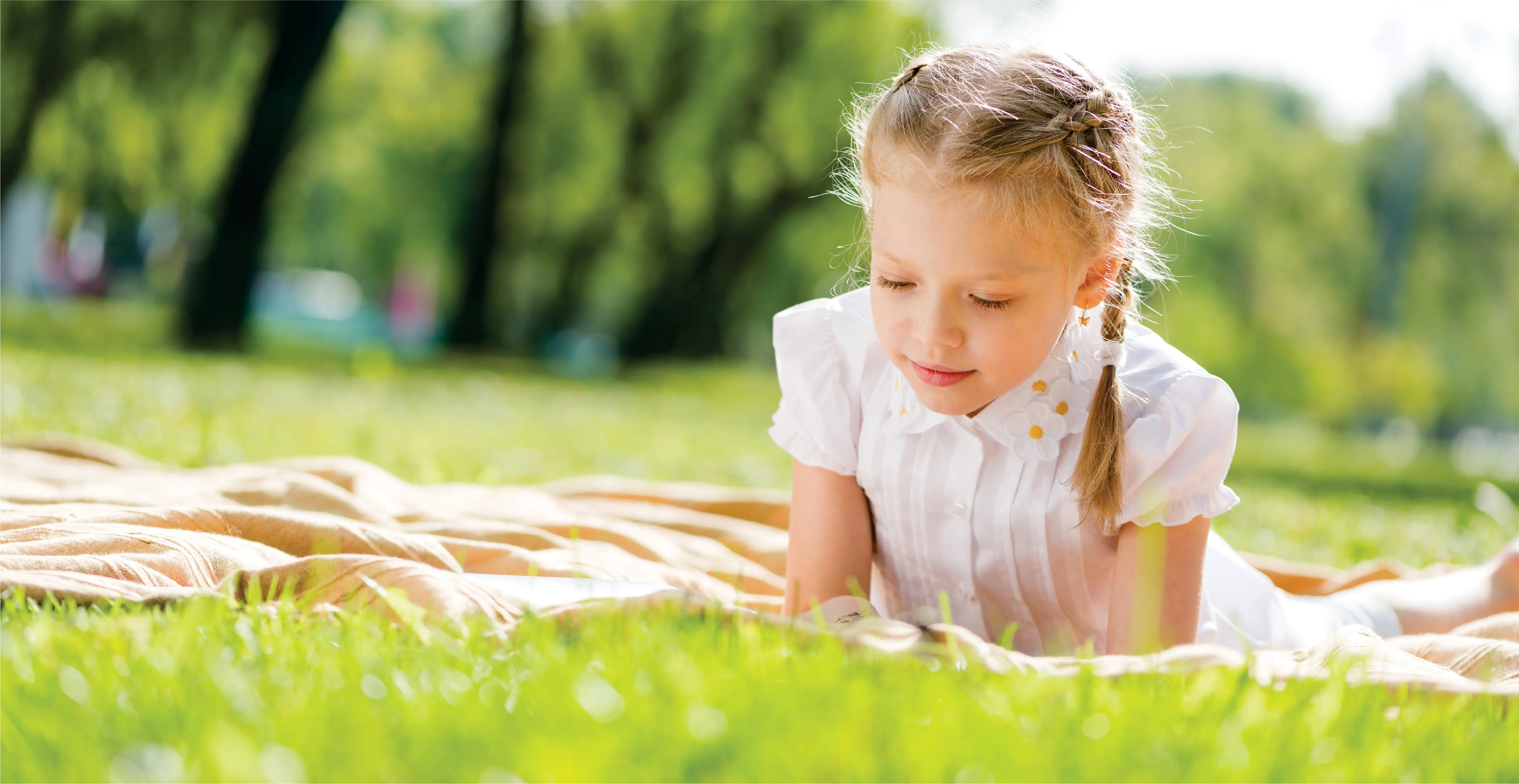 Conexao, Inteligencia e Sustentabilidade